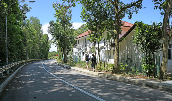 Curving road lined with trees and a two-story white building with a red roof. Two people are walking on the sidewalk.